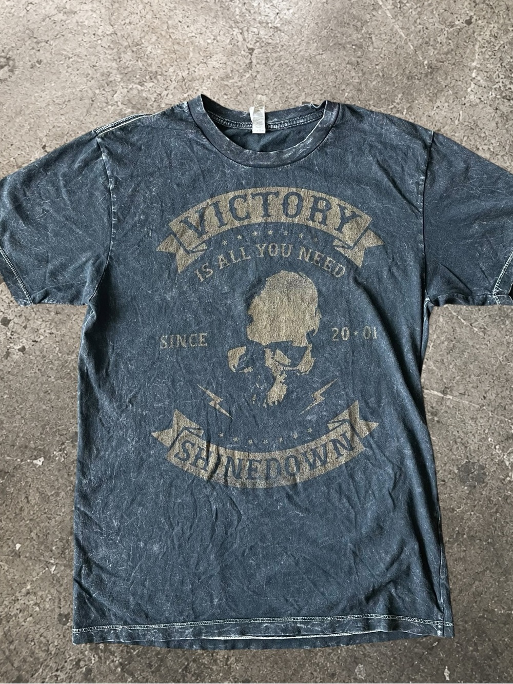 Shinedown Y2K Victory Is All You Need Skull Graphic Tee Grey and Tan Men’s Small